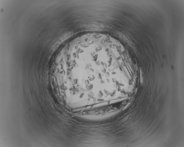 X0000062140675200601060924