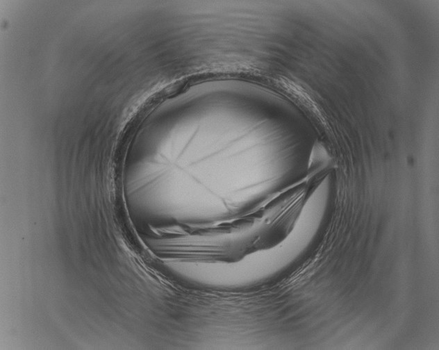 X0000062140676200601060924