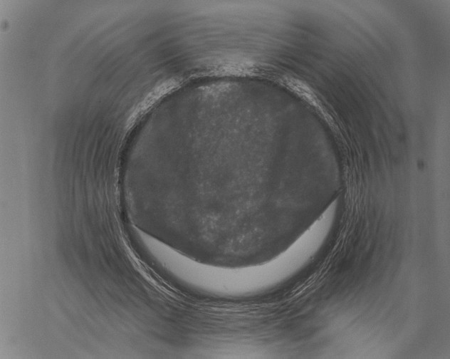 X0000062140677200601060924