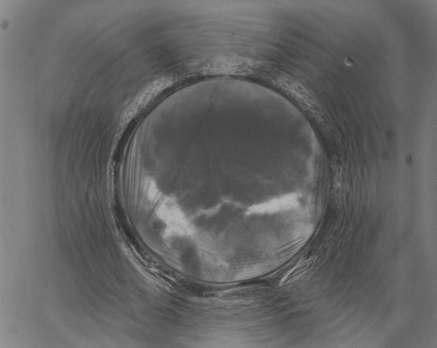 X0000062140678200601060924