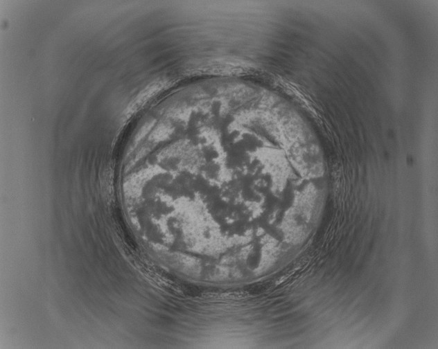 X0000062140679200601060924