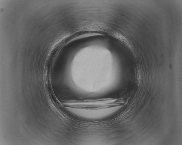 X0000062140680200601060924