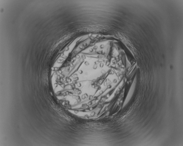 X0000062140681200601060924