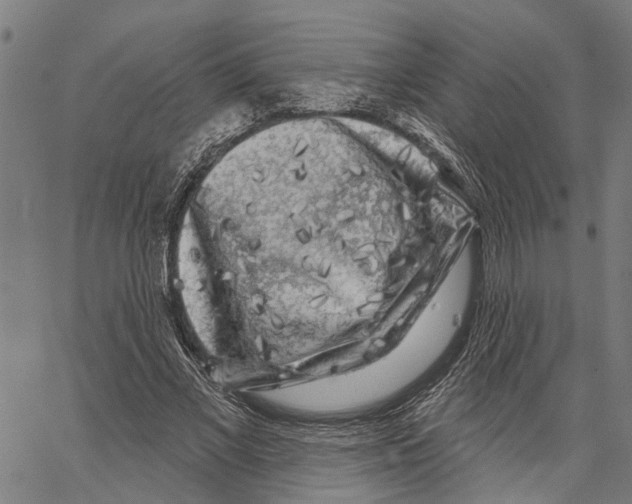 X0000062140685200601060924