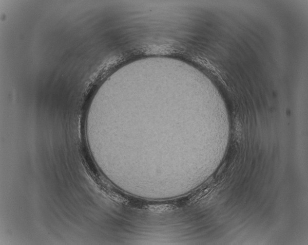 X0000062140686200601060924