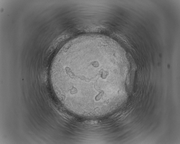 X0000062140687200601060923