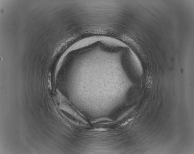 X0000062140688200601060923