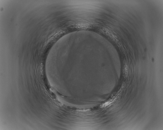 X0000062140689200601060923