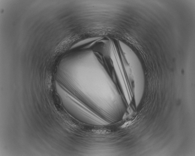 X0000062140693200601060923