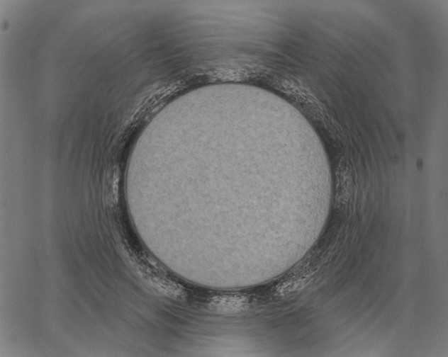 X0000062140694200601060923