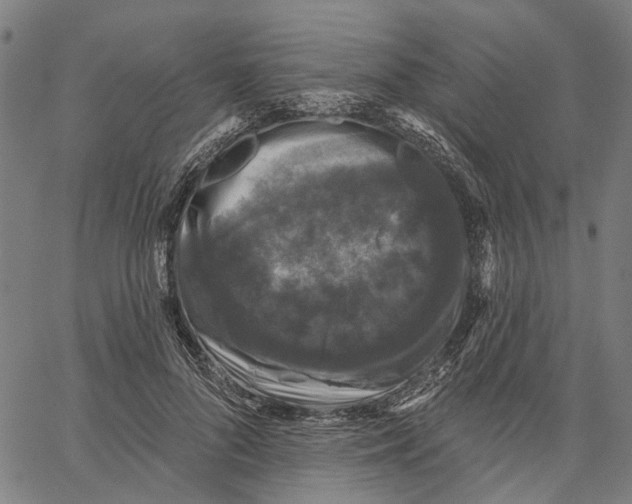 X0000062140696200601060923