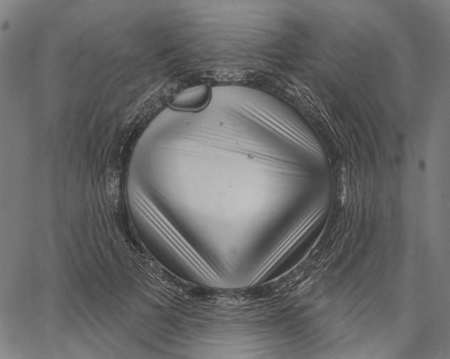 X0000062140697200601060923