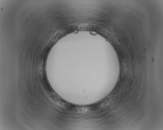 X0000062140698200601060923