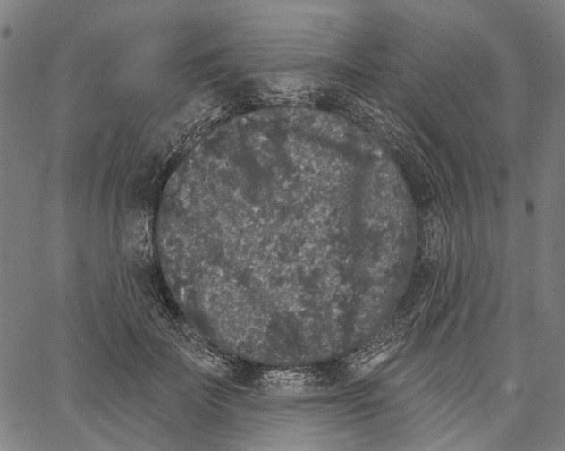 X0000062140699200601060923