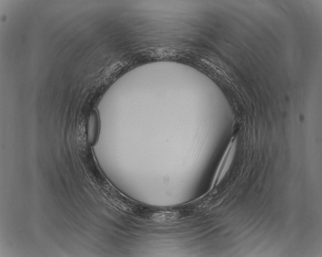 X0000062140700200601060923