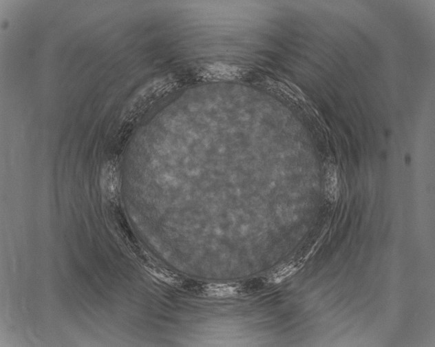 X0000062140701200601060923