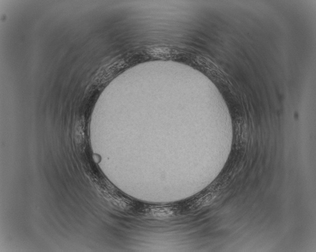 X0000062140702200601060923