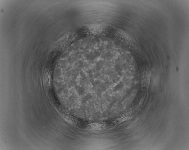 X0000062140703200601060923