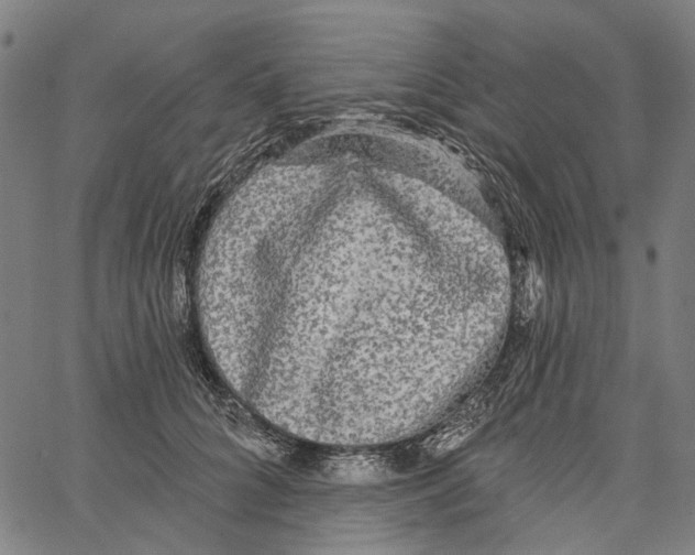 X0000062140704200601060923