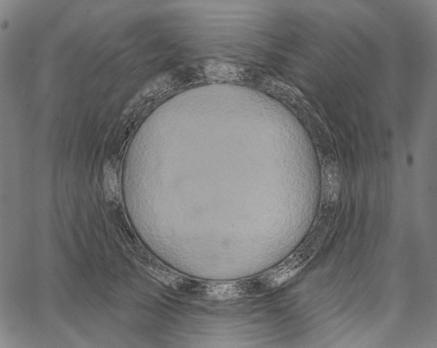 X0000062140705200601060923