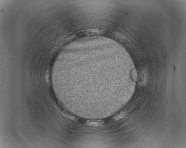 X0000062140706200601060923