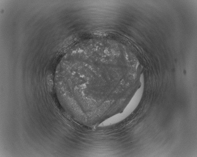 X0000062140707200601060923