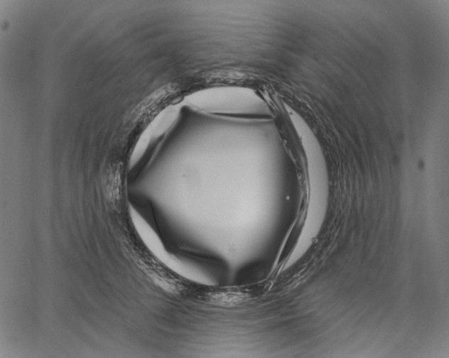 X0000062140708200601060923