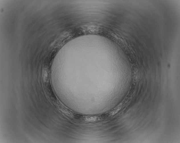 X0000062140709200601060923