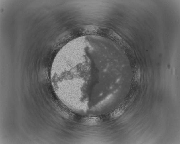 X0000062140711200601060923