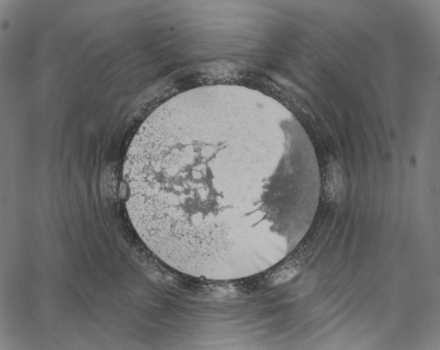 X0000062140715200601060923