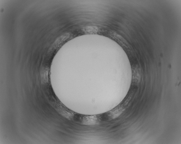 X0000062140717200601060923