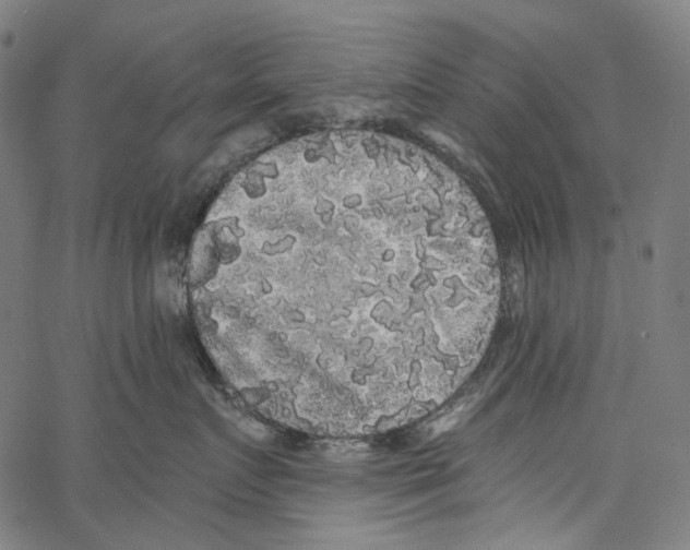 X0000062140719200601060923