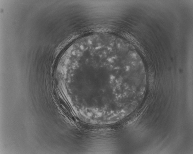 X0000062140721200601060922