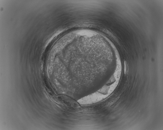 X0000062140723200601060922