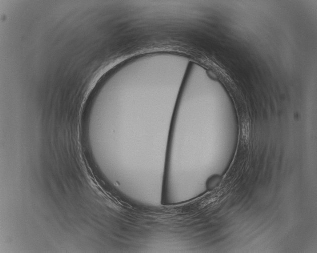 X0000062140724200601060922