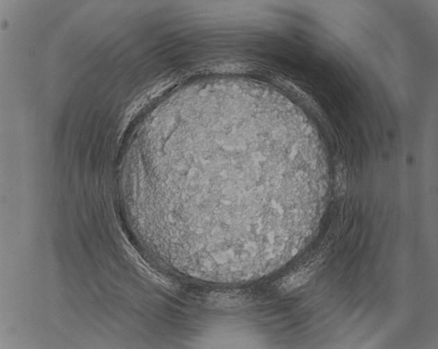 X0000062140725200601060922