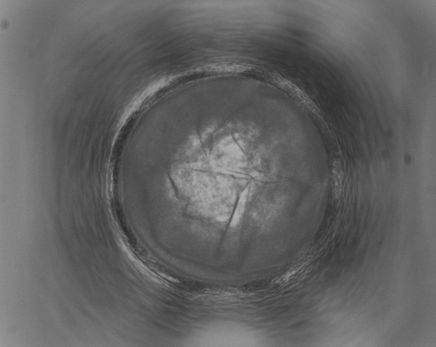 X0000062140726200601060922