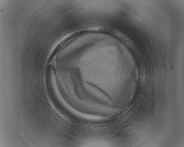 X0000062140728200601060922