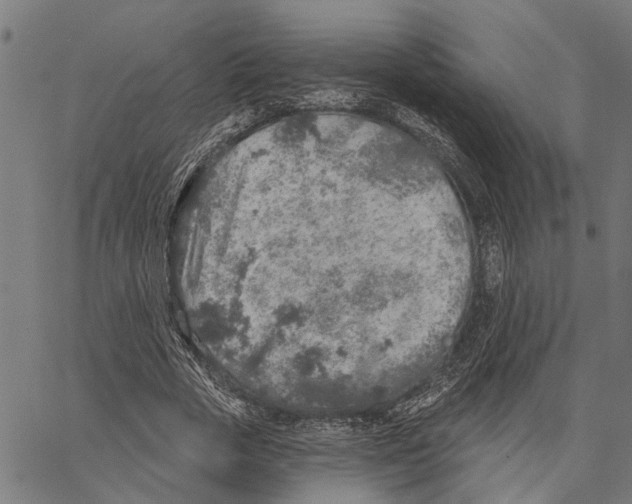 X0000062140729200601060922