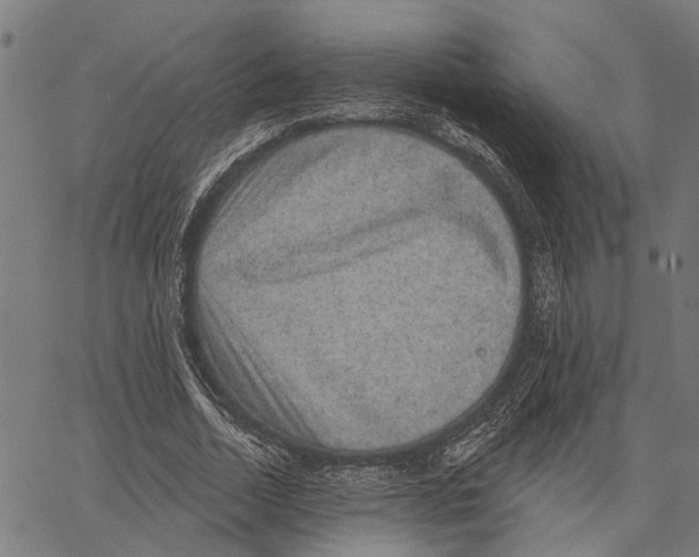 X0000062140730200601060922