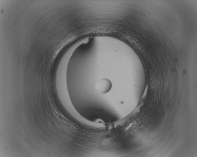 X0000062140731200601060922