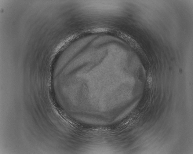 X0000062140732200601060922