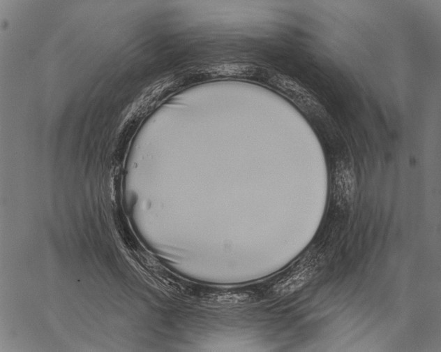 X0000062140734200601060922