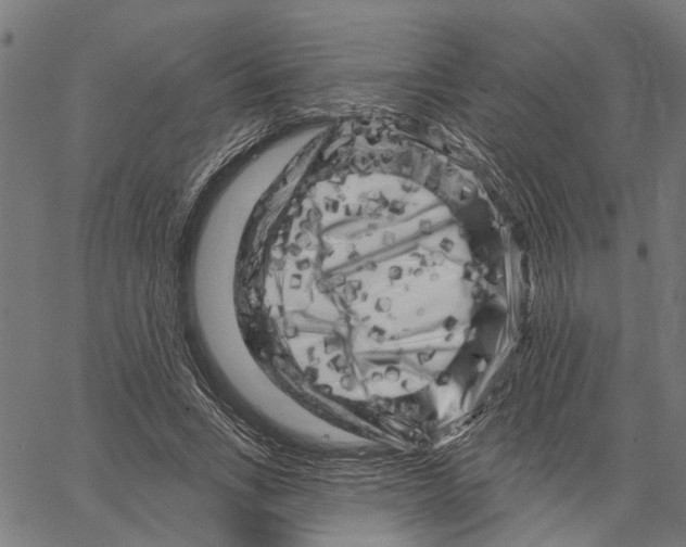 X0000062140735200601060922