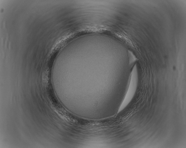 X0000062140736200601060922