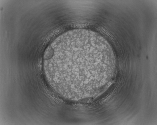 X0000062140737200601060922