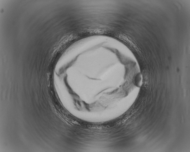 X0000062140738200601060922