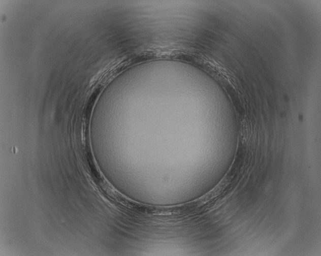 X0000062140740200601060922