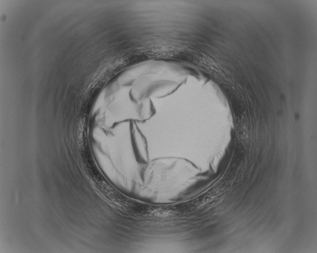 X0000062140742200601060922