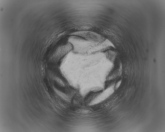 X0000062140743200601060923